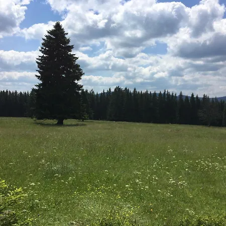 126 * Kvilda