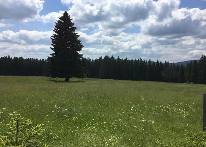 126 * Kvilda